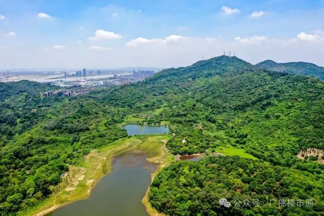 2025星河灣區(qū)壹號()官方網(wǎng)站_官網(wǎng)百度百科_廣州房天下(圖4)