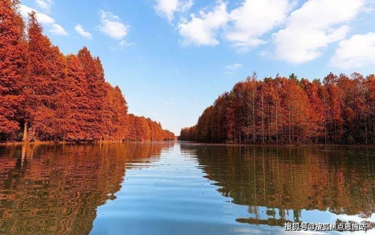 上海奉賢( 陜建名城映藍(lán))首頁(yè)網(wǎng)站-最新房?jī)r(jià)-房型圖-樓盤(pán)百科詳情24(圖25)