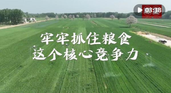 瞭望·治國理政紀(jì)事｜牢牢抓住糧食這個核心競爭力(圖2)